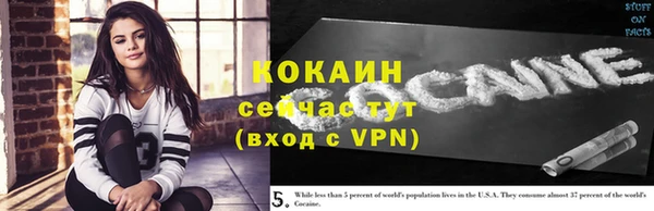 сатива Арсеньев