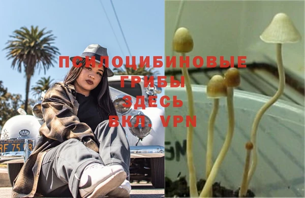 кокаин колумбия Аркадак