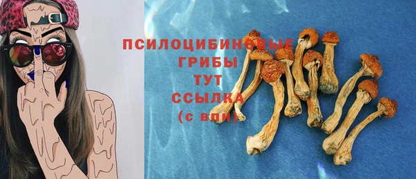 шишки Алексеевка