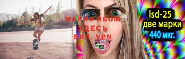 сатива Арсеньев