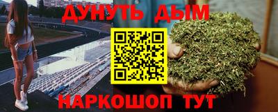 индика Пушкино